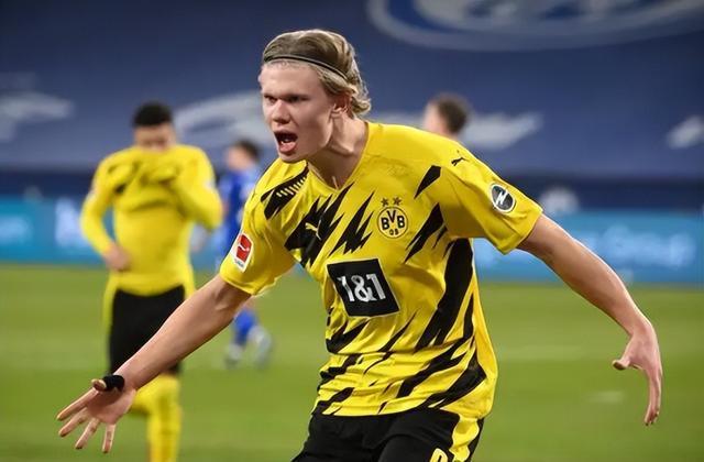 术坚韧的一 术坚韧的一