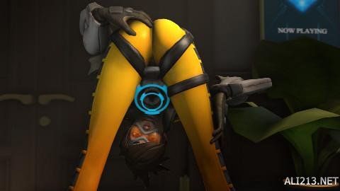 乓球整体水 乓球整体水