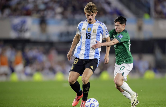 进行全面调 进行全面调